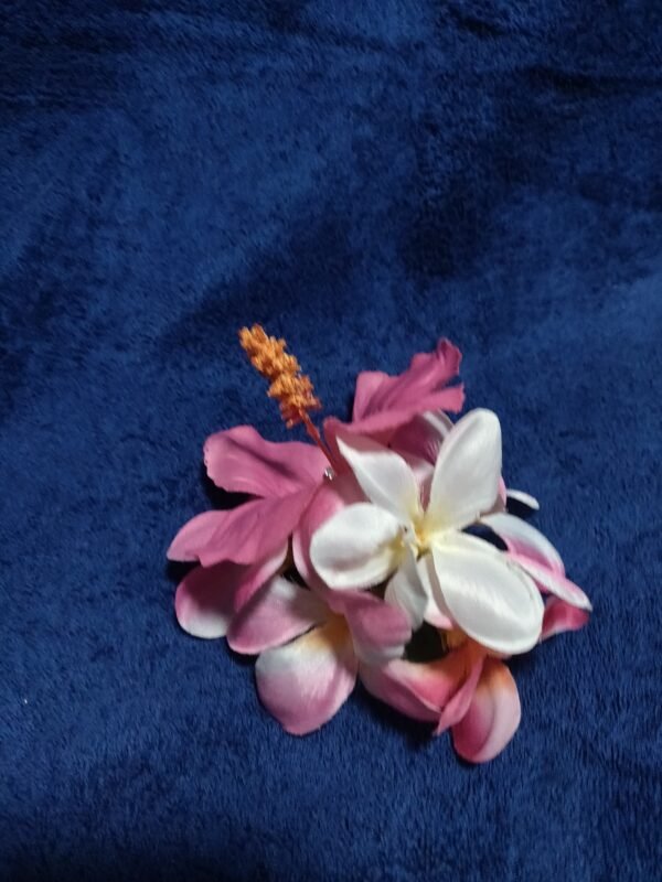 Pink Hibiscus with pink/white plumeria