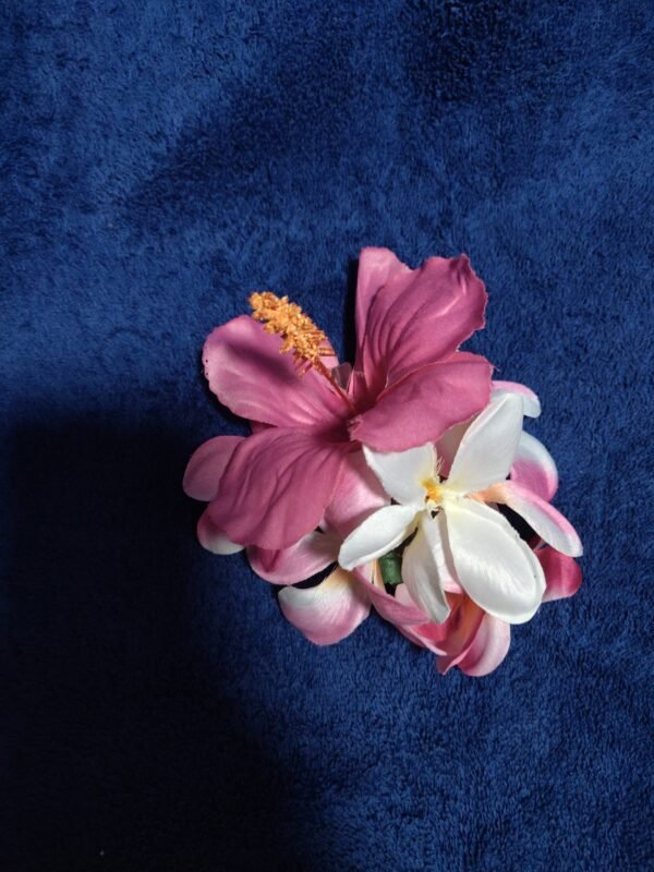 Pink Hibiscus with pink/white plumeria