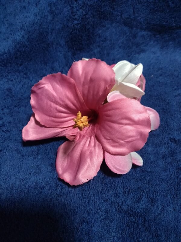 Pink Hibiscus with pink/white plumeria